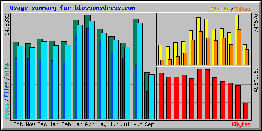 Usage summary for blossomsdress.com